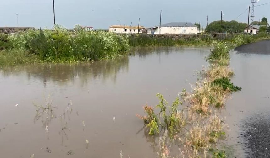 Akyaka İlçesinde Her Yıl Aynı Kabus: Sel Tarımı ve Hayvancılığı Vurdu