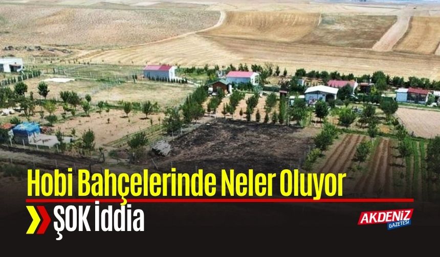 Ankara’da Hobi Bahçeleri Yangınlarında Şok İddia: "Belediye Çıkarttı"