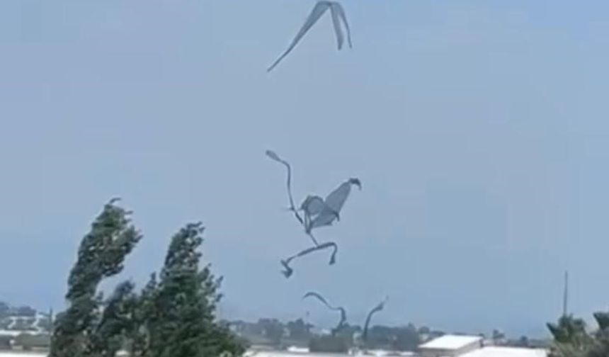 Antalya Serik'te Hortum Seradan Geçti