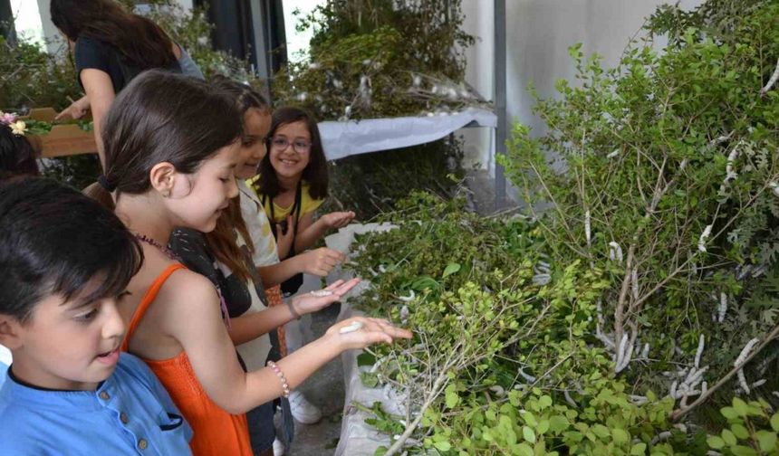 Antalya'da İpekböcekçiliği Yeniden Hayat Buluyor