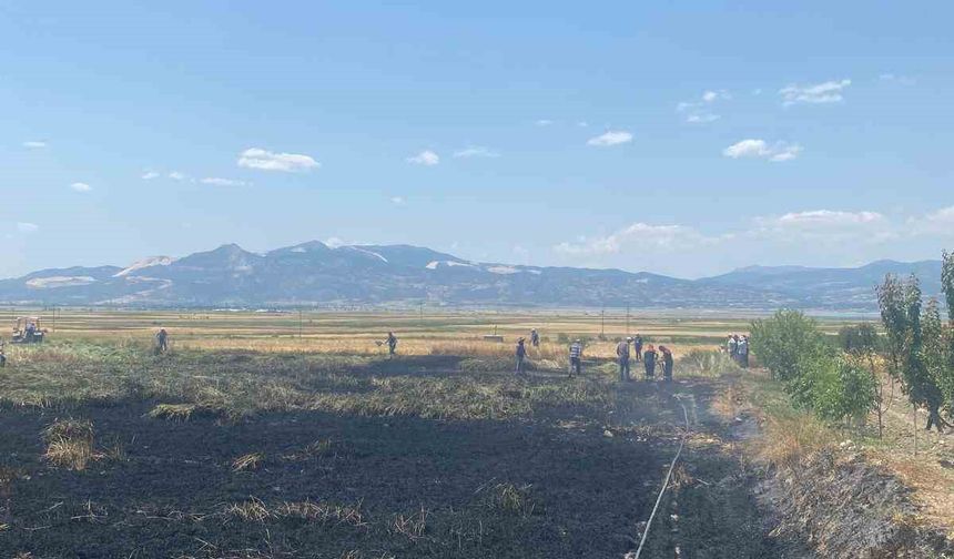 Burdur'da Yangın: 3 Dönüm Buğday Ekili Alan Kül Oldu