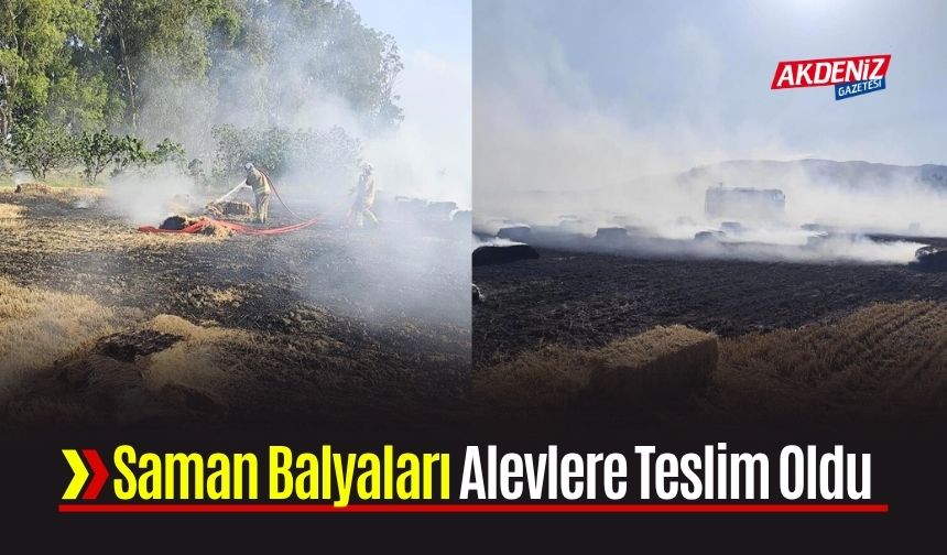 Hatay’da Saman Balyaları Alevlere Teslim Oldu