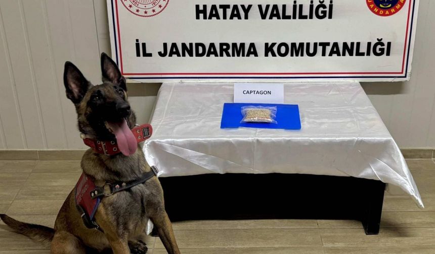 Hatay'da Zehir Tacirleri ve Kaçakçılık Operasyonlarında 23 Şüpheli Yakalandı