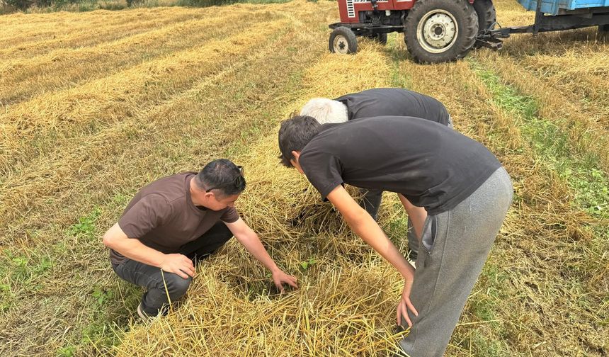 Düziçi İlçe Tarımda Denetimler Aralıksız Sürüyor