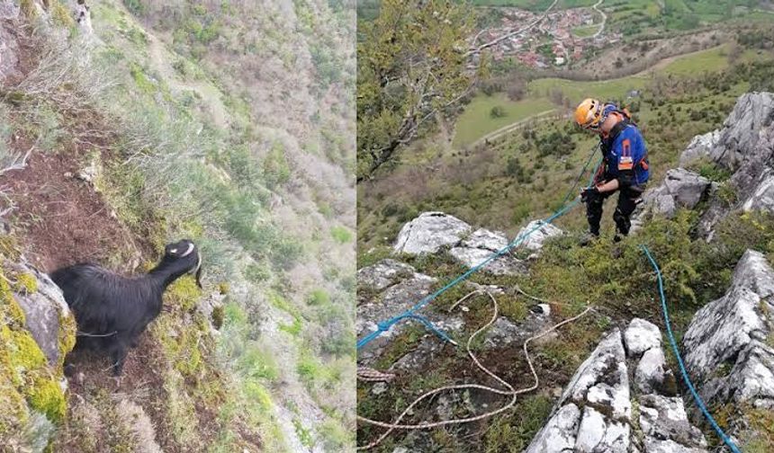 Keçi Kayalıklarda Mahsur Kaldı, İtfaiye Seferber Oldu