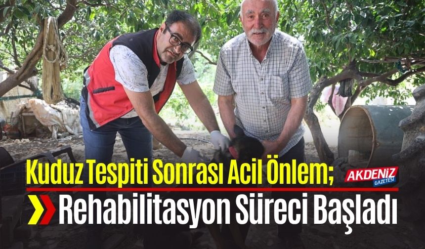 Kuduz Tespiti Sonrası Acil Önlem: Barınaklara Sevk