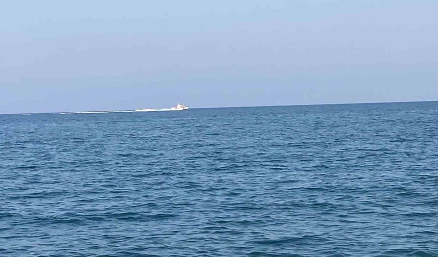 Mersin Açıklarında Köpekbalığı Tedirginliği