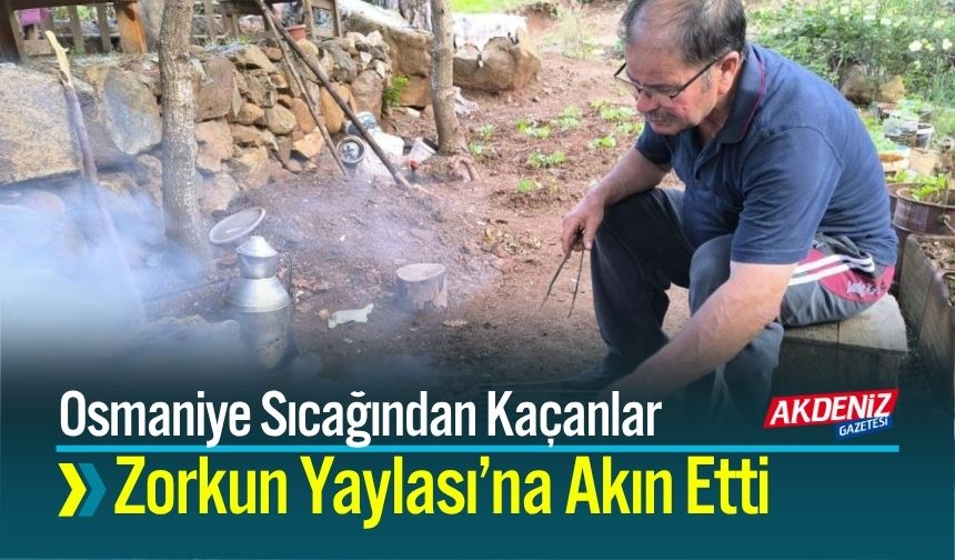 Osmaniye Sıcağından Kaçanlar Zorkun Yaylası’na Akın Etti