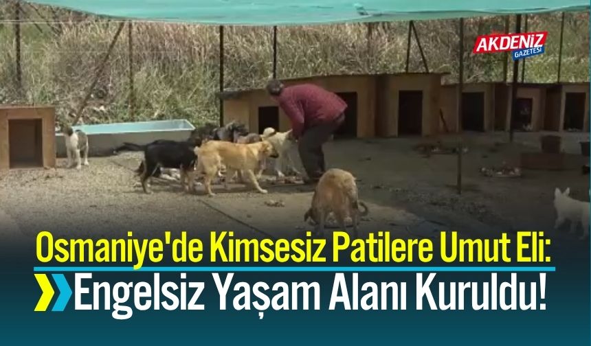 Osmaniye'de İhtiyaç Sahibi Can Dostlara Sıcak Yuva