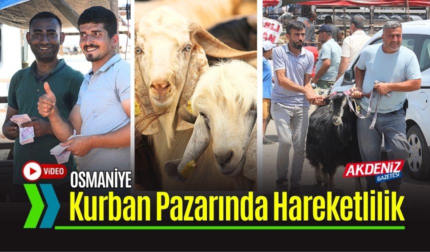 Osmaniye'de Kurban Pazarlarında Arife Günü Hareketliliği