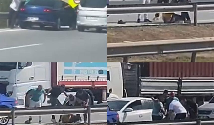 Otoyolda Şiddet Kamerada: Sürücü Önce Dövüldü, Sonra Suyla Ayıltıldı