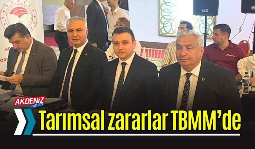 Osmaniye'deki Don Felaketi Meclis Gündeminde