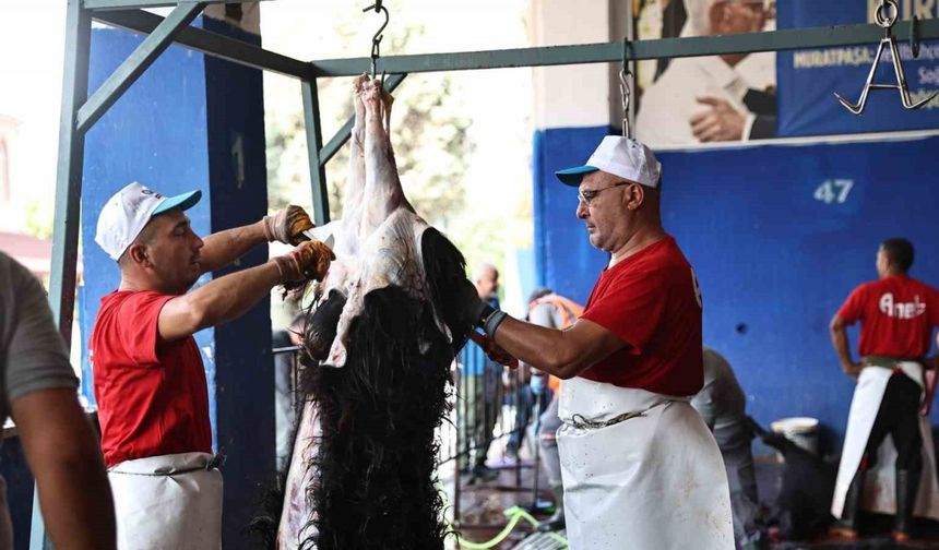 Ücretsiz Kurban Kesim Hizmeti Vatandaşla Buluşuyor