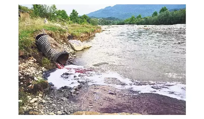 Akyazı'da Mudurnu Deresi Kirlilikle Alarm Veriyor