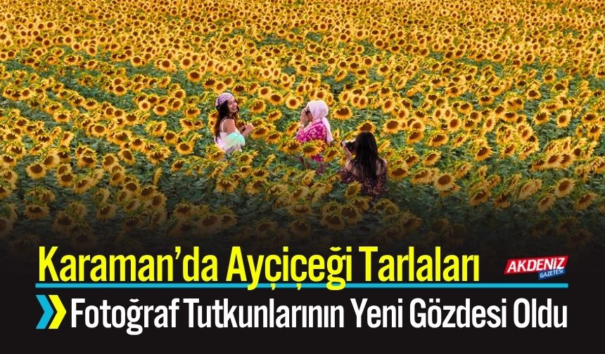 Karaman’da Ayçiçeği Tarlaları Fotoğraf Tutkunlarının Yeni Gözdesi Oldu