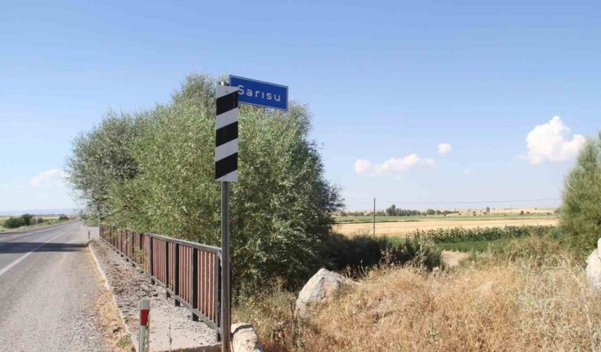 Beyşehir Gölü Kuruyor: Balık Ölümleri Endişe Yaratıyor