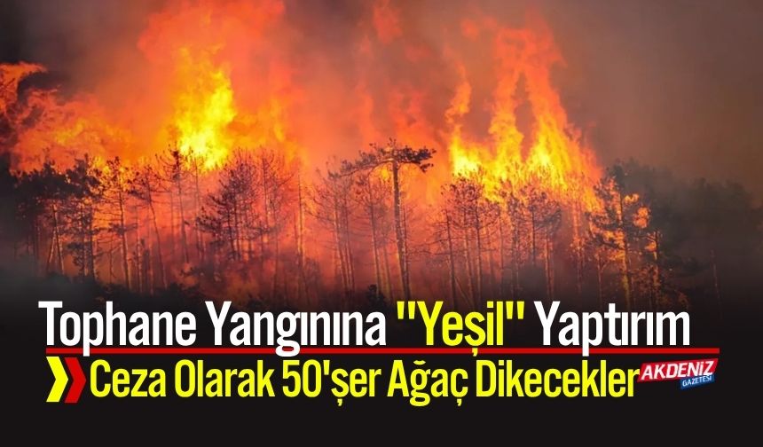 Tophane Yangınına "Yeşil" Yaptırım: Ceza Olarak 50'şer Ağaç Dikecekler