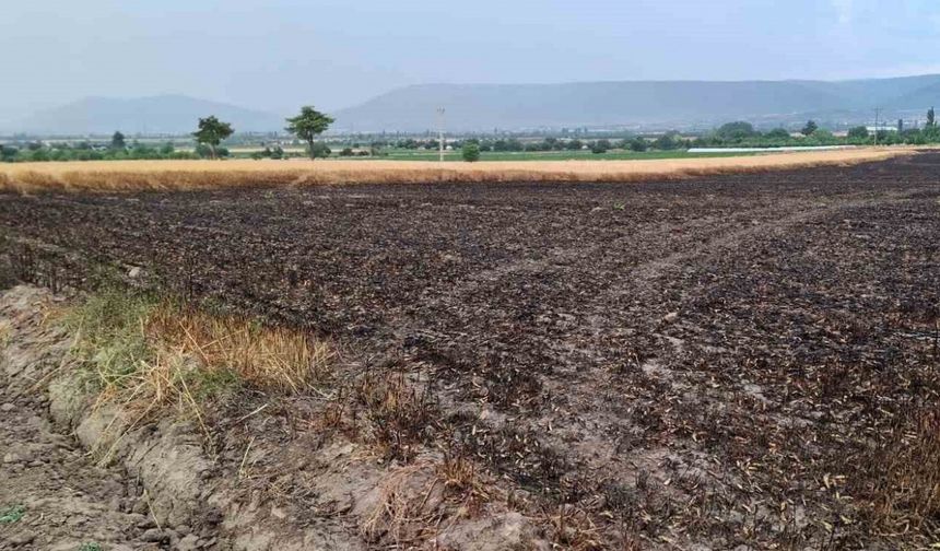 Denizli'de Buğday Tarlasına Düştü Yıldırım Yangına Sebep Oldu