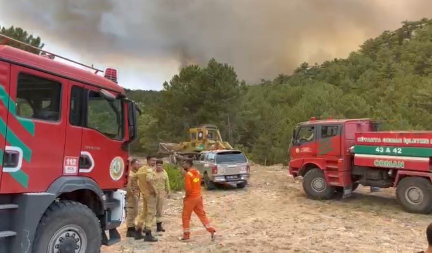 Eskişehir'de Orman Bölge Müdürü Alevlerin Arasında Kaldı