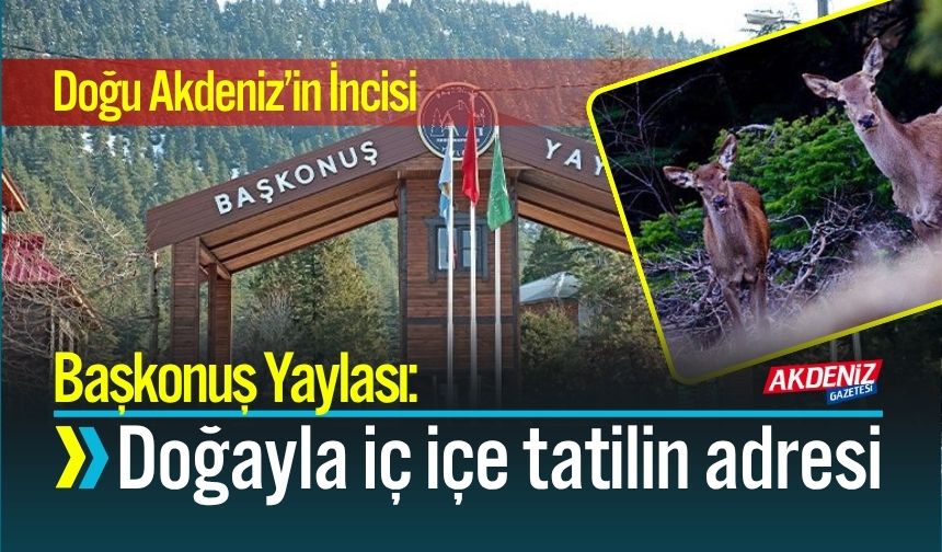 Doğu Akdeniz’in İncisi Başkonuş Yaylası: Doğayla iç içe Tatilin Adresi