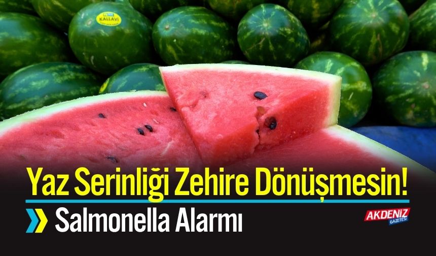 Yaz Serinliği Zehire Dönüşmesin! Salmonella Alarmı