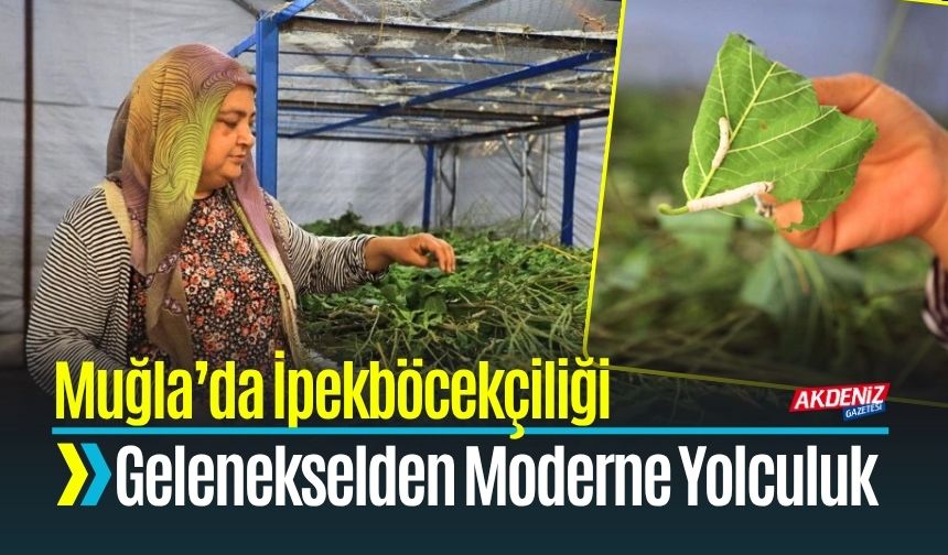 Muğla’da İpekböcekçiliği Gelenekselden Moderne Taşınıyor