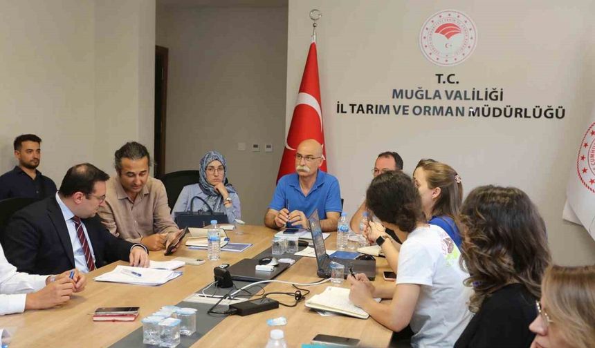 Muğla’da Taşkın Riski Değerlendirildi