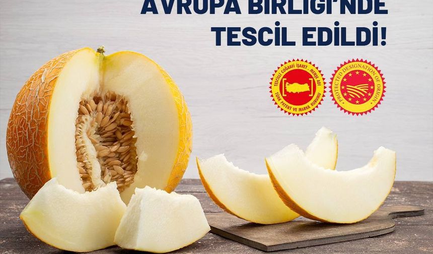 Mut Zeytinyağı ve Kırkağaç Kavunu AB Tescili Aldı