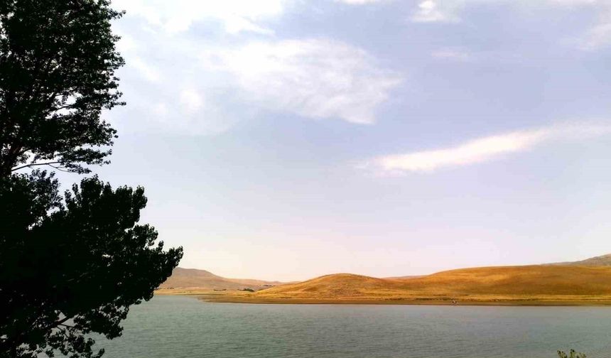 Patnos Barajı Kuruyor: Doğal Yaşam Tehdit Altında
