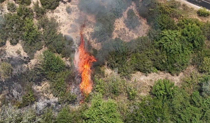 Sıcaklıklar Rekor Kıracak: 8 İlde Yangın Riski En Üst Seviyede