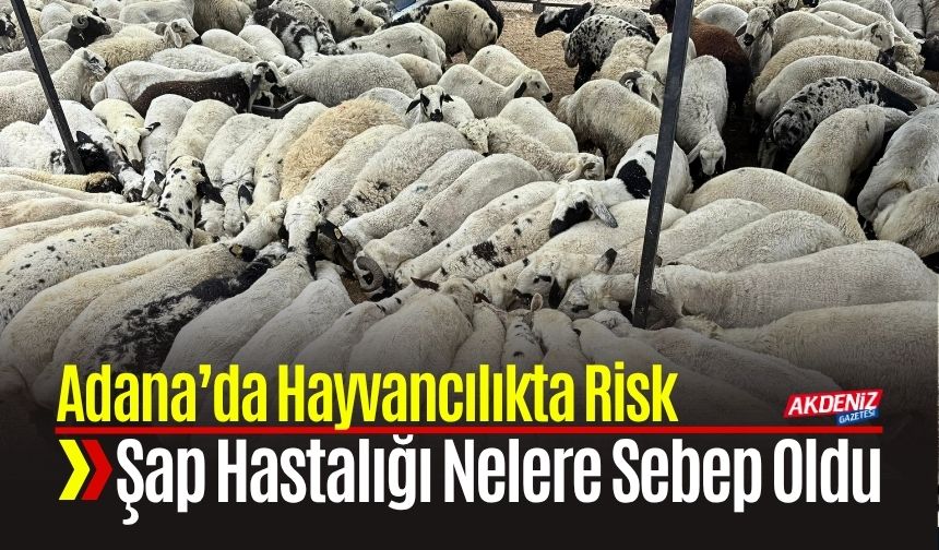 Adana’da Şap Hastalığı Nelere Sebep Oldu