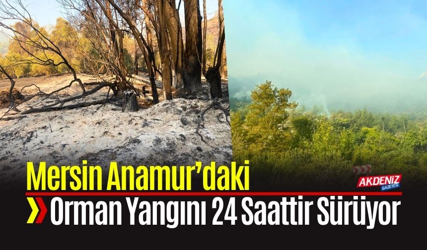 Mersin Anamur’daki Orman Yangını 24 Saattir Sürüyor