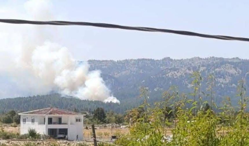 Mersin Bozyazı’da Orman Yangını