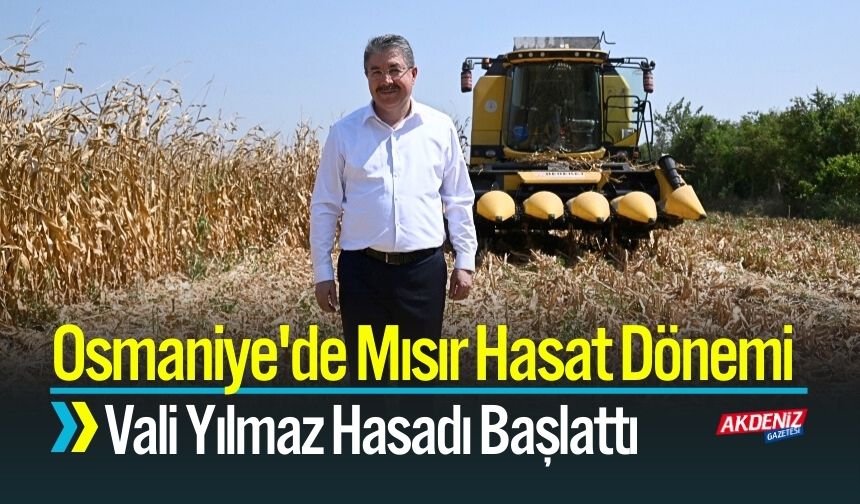 Osmaniye'de Mısır Üretiminde Hasat Dönemi