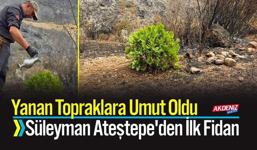 Yanan Topraklara Umut Oldu: Süleyman Ateştepe'den İlk Fidan