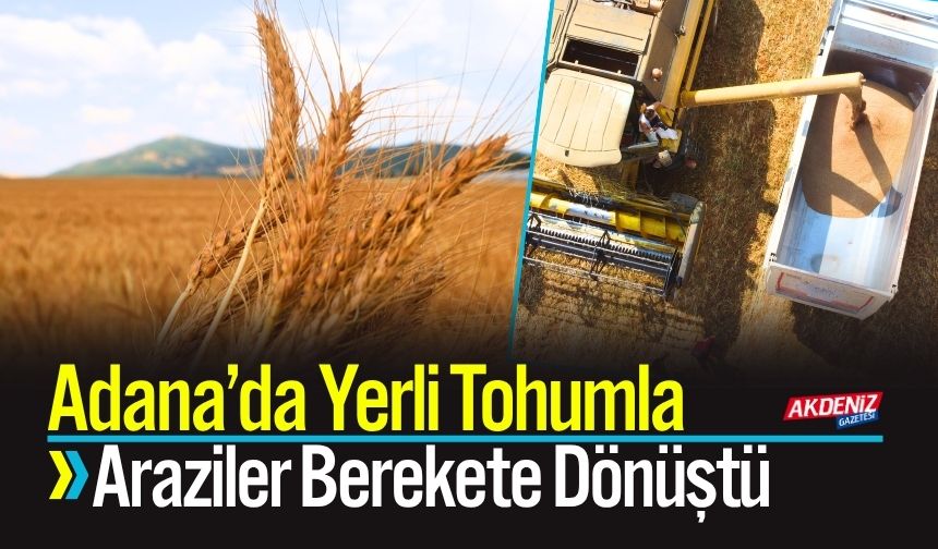 Adana’da Yerli tohumla Araziler Berekete Dönüştü