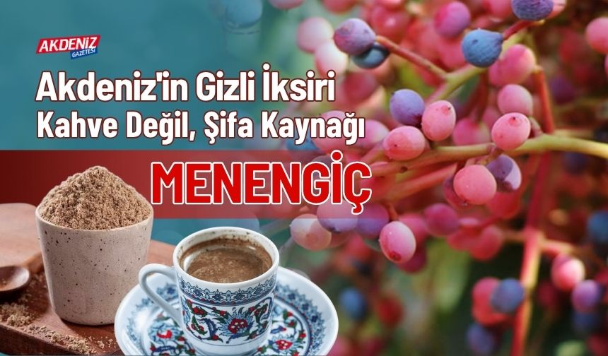 Akdeniz'in Gizli İksiri: Kahve Değil, Şifa Kaynağı Menengiç