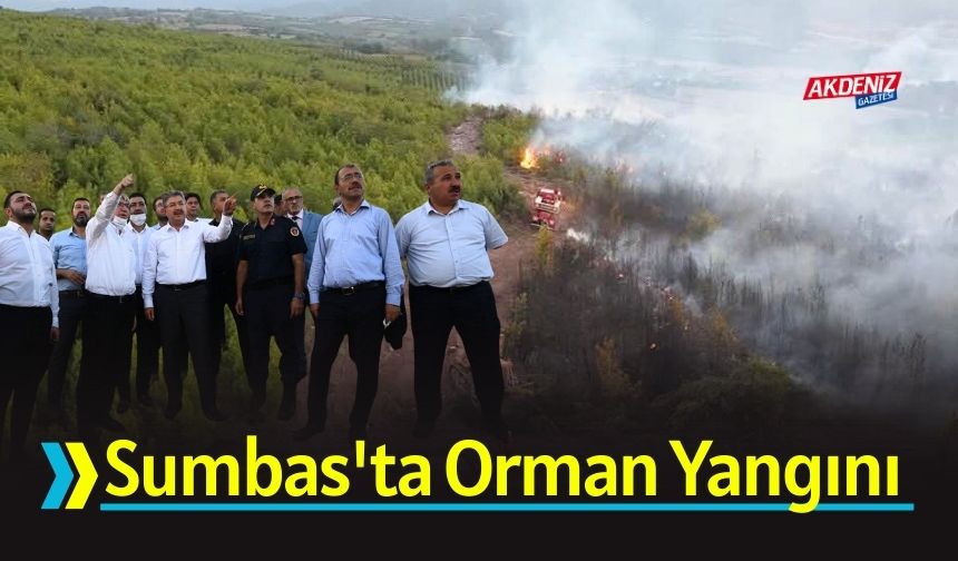Osmaniye'deki Yangın Kontrol Altına Alındı