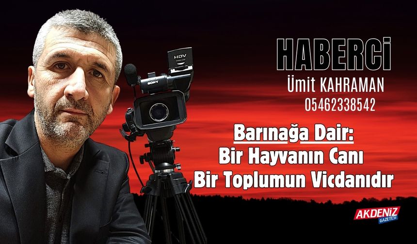 Barınaktaki Görüntüler, Vicdanımızı Sınadı