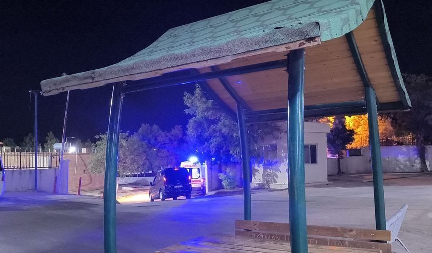 Ağaçtan düşen adam ağır yaralandı