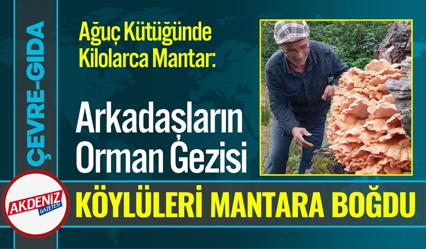Arkadaşların Orman Gezisi, Köylüleri Mantara Boğdu