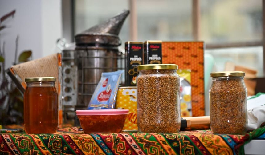 Ağasar Balı’nın Marka Değeri Artırılıyor