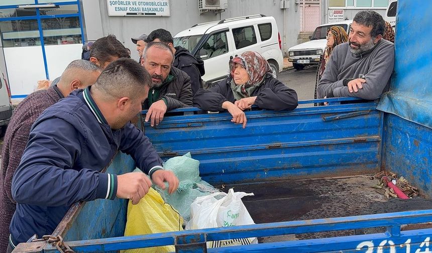 Arı istilası ünlü kuzu kestanesini de vurdu
