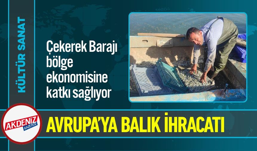 Çekerek Barajından Avrupa’ya Balık İhracatı