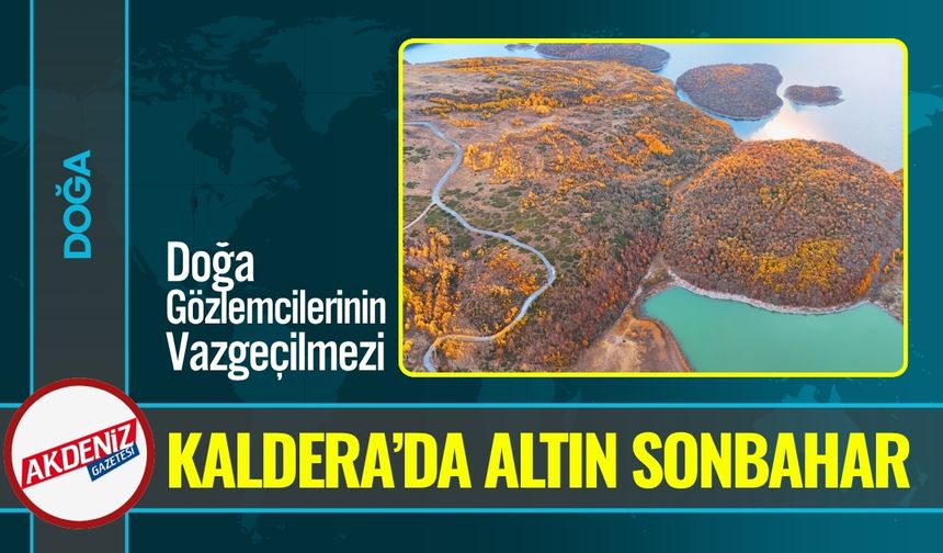 Nemrut Kalderası Sonbaharda 'Altın Sarısı'na Büründü