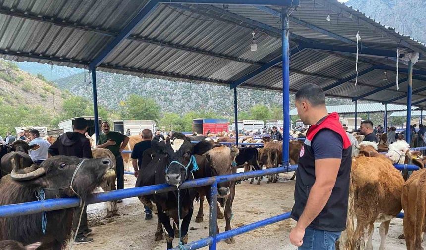 Şap Hastalığı Nedeniyle Hayvan Pazarı Kapatıldı
