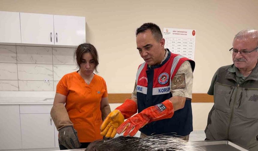 Siirt jandarmasından doğa dostu çalışmalar