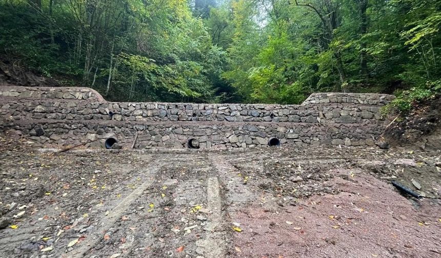 Sinop Orman’dan Sel ve Erozyona Karşı Kalıcı Çözüm