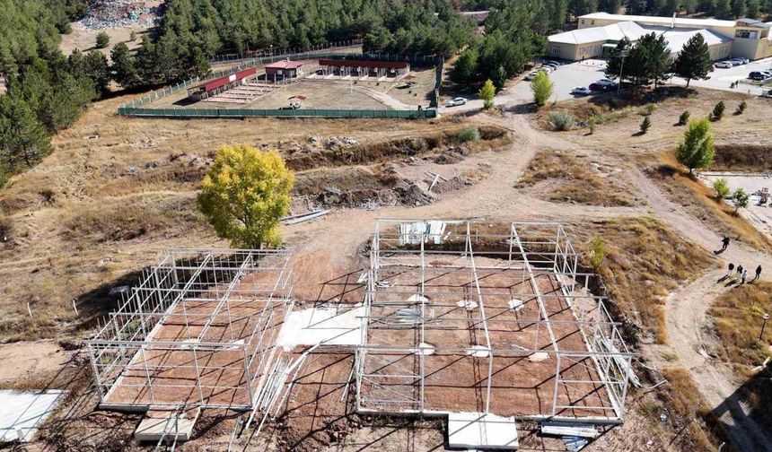 Sivas’ta Yapay Zekâ Kontrolünde İhracat Atağı