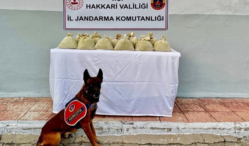 Terörün Finans Kaynağına Geçit Yok